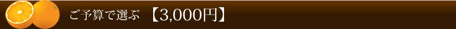 ご予算で選ぶ 【3,000円】