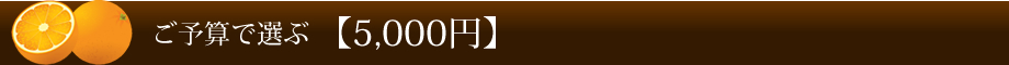ご予算で選ぶ 【5,000円】