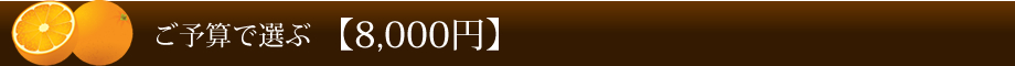 ご予算で選ぶ 【8,000円】