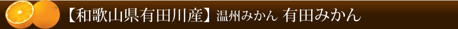 【和歌山県産】温州みかん 有田みかん