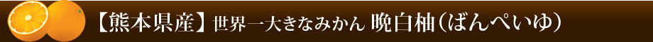 晩白柚 ばんぺいゆ