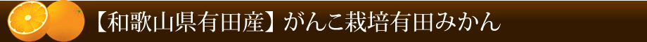 【和歌山県有田産】がんこ栽培 有田みかん