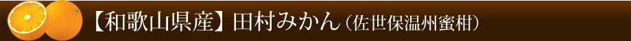 【和歌山県産】田村みかん（佐世保温州蜜柑）