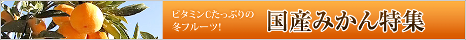 ビタミンCたっぷりの冬フルーツ「国産みかん特集」