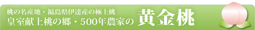 皇室献上桃の郷・500年農家の「黄金桃」