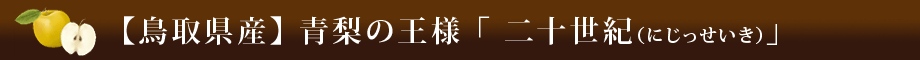【鳥取県産】青梨の王様「二十世紀（にじっせいき）」