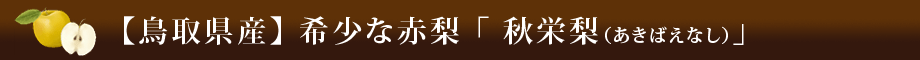 【鳥取県産】希少な赤梨「秋栄梨（あきばえなし）」
