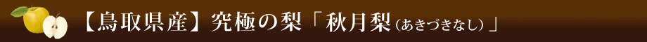 【鳥取県産】究極の梨「秋月梨（あきづきなし）」