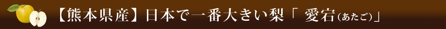 【熊本県産】日本で一番大きい梨「愛宕（あたご）」