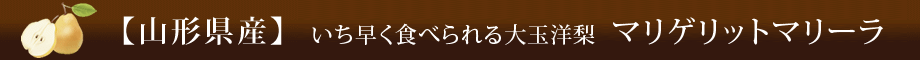 【山形県産】大玉洋梨 マリゲリットマリーラ