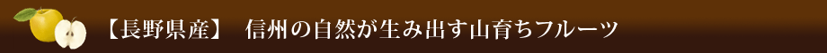 【長野県産】信州の自然が生み出す山育ちフルーツ