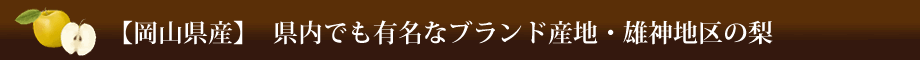 【岡山県産】県内でも有名なブランド産地・雄神地区の梨