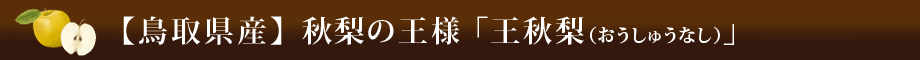 【鳥取県産】冬が旬の大梨「王秋梨（おうしゅうなし）」