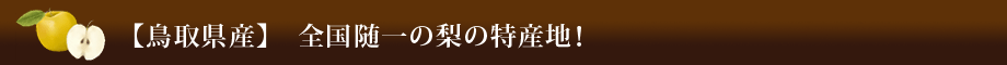 【鳥取県産】全国随一の梨の特産地！