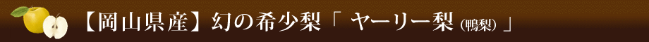 【岡山県産】幻の希少梨「ヤーリー梨（やーりーなし）」