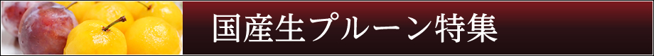 国産生プルーン特集