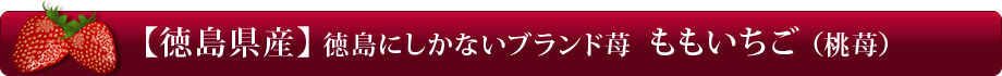 【徳島県産】徳島にしかないプレミアム苺「ももいちご」