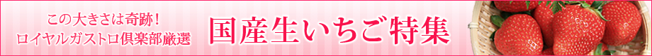 日本ロイヤルガストロ倶楽部厳選「この大きさは奇跡！国産生いちご特集」