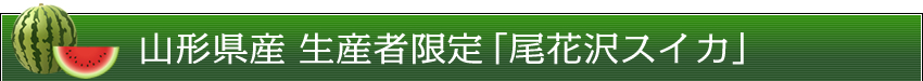 山形県産 生産者限定「尾花沢スイカ」