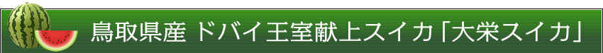 鳥取県産 ドバイ王室献上スイカ「大栄スイカ」