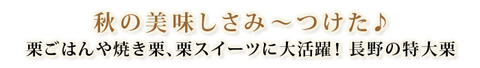 秋の美味しさみ～つけた