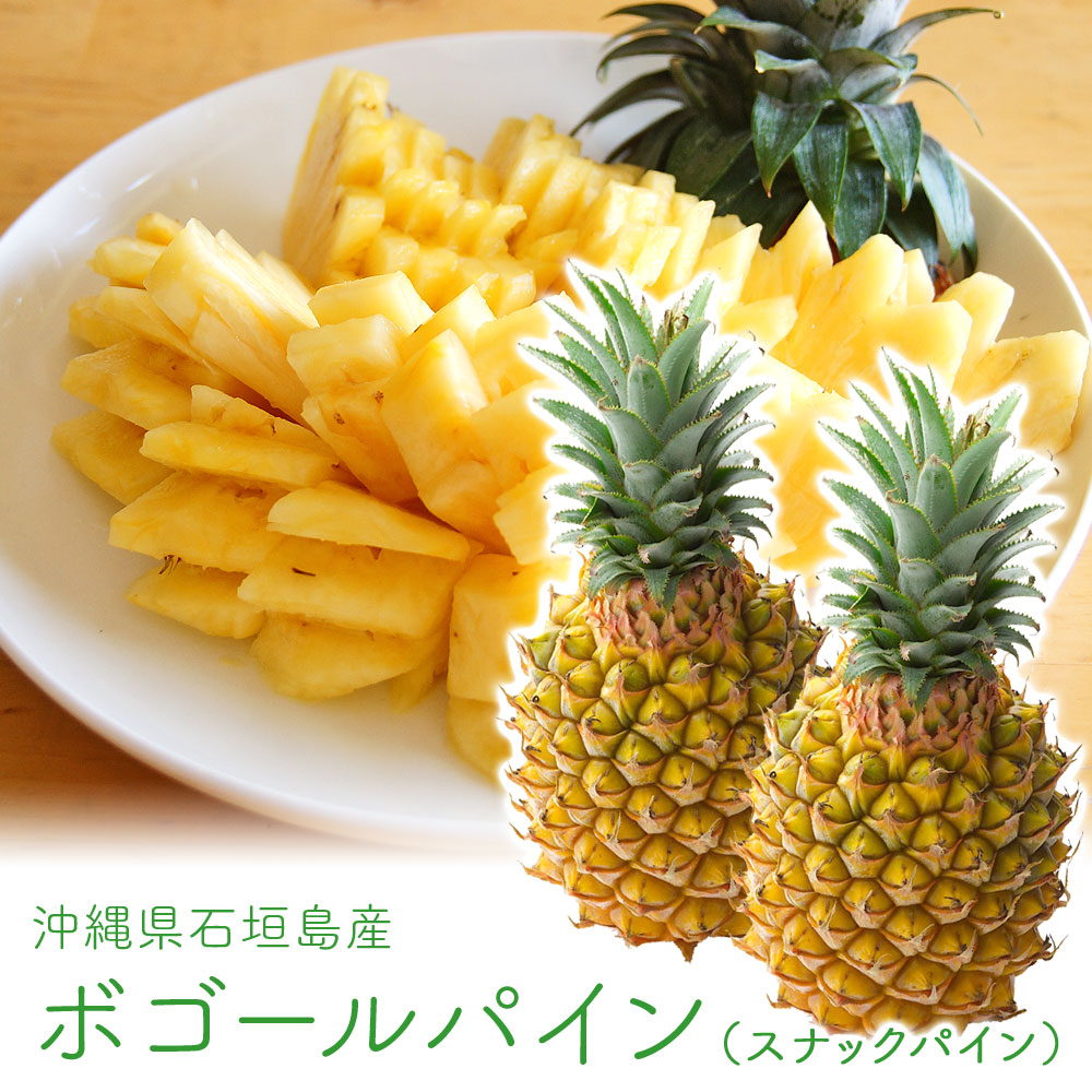 石垣島の国産パイナップル