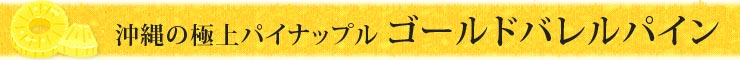 沖縄の極上パイナップル ゴールドバレルパイン