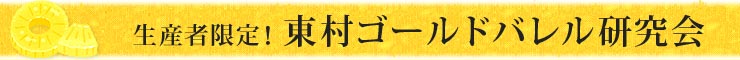 生産者限定 東村ゴールドバレル研究会