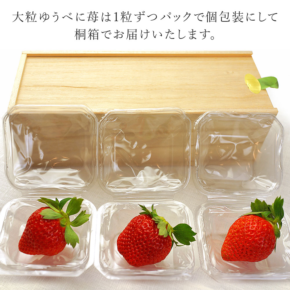 20箱限定】KOIBENI ICHIGO ゆうべに 苺 いちご 熊本県産 大粒 3粒 桐 