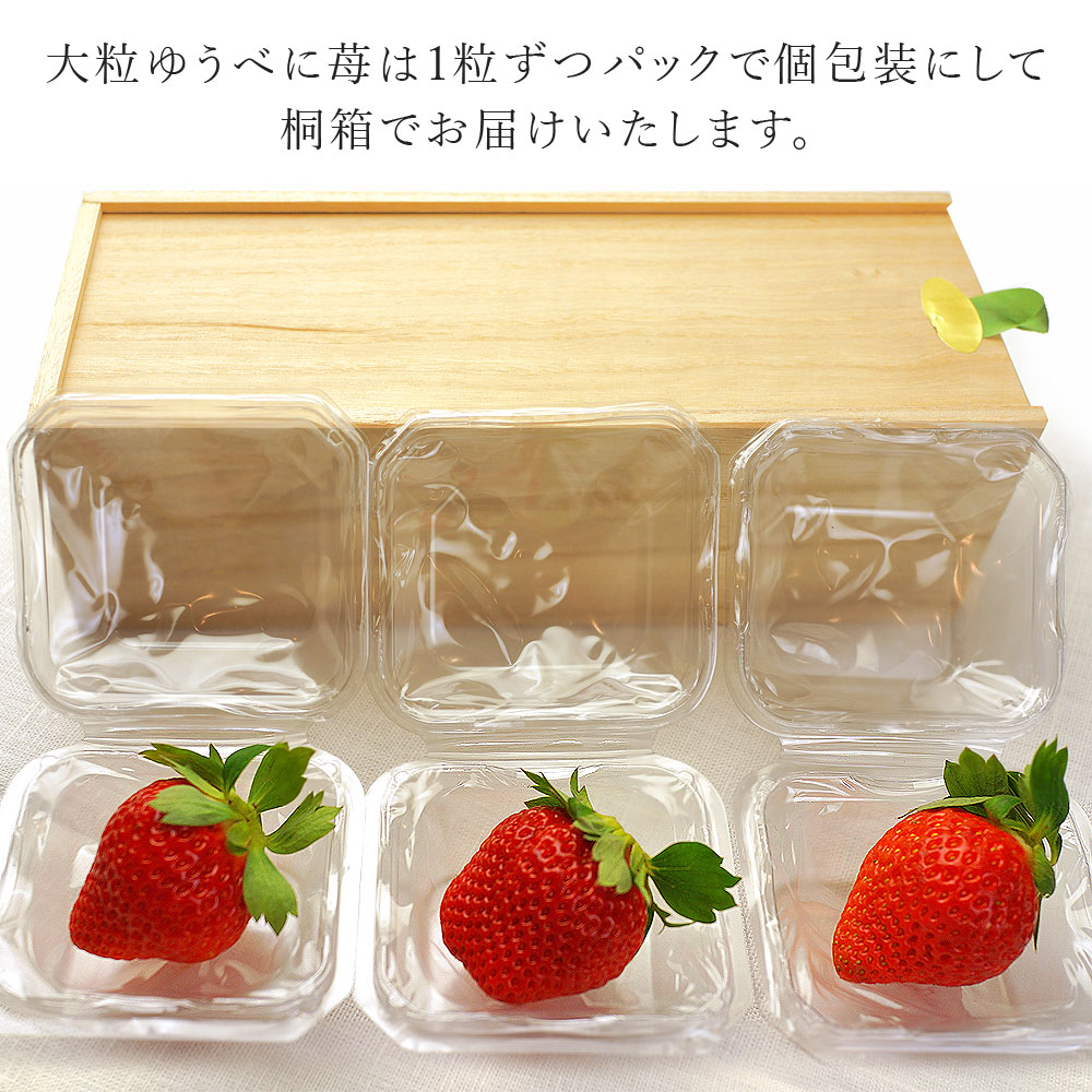 箱限定 Koibeni Ichigo ゆうべに 苺 いちご 熊本県産 大粒 3粒 桐箱入り 生産者限定 荒木いちご農園 日本ロイヤルガストロ倶楽部 箱限定 Koibeni Ichigo ゆうべに 苺 いちご 熊本県産 大粒 3粒 桐箱入り 生産者限定 荒木いちご農園 日本ロイヤルガストロ倶楽部
