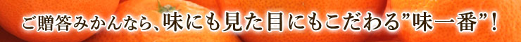 ご贈答なら、味にも見た目にもこだわる味一番みかん!
