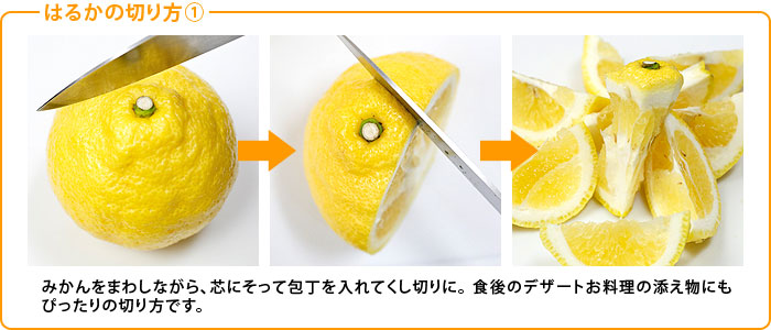 はるか 広島県産 みかん L 2l寸 約5kg 送料無料 日本ロイヤルガストロ倶楽部 はるか 広島県産 みかん L 2l寸 約5kg 送料無料 日本ロイヤルガストロ倶楽部