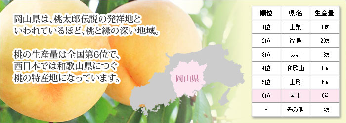 お中元 フルーツ ギフト 岡山 フルーツ ギフト セット 白桃 マスカット 岡山県産 もも ぶどう 化粧箱入り 送料無料 日本ロイヤルガストロ倶楽部