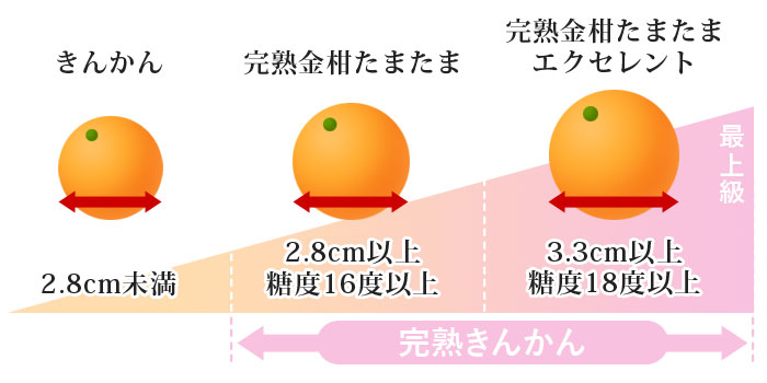 きんかんのグレード