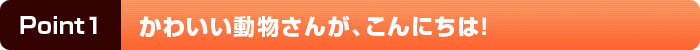 かわいい動物さんがこんにちは