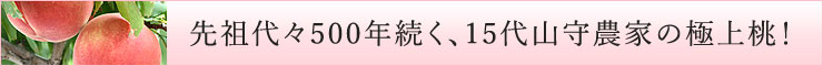 先祖の代から500年続く15代山守農家の極上桃！