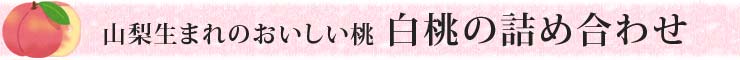 山梨生まれのおいしい桃　白鳳