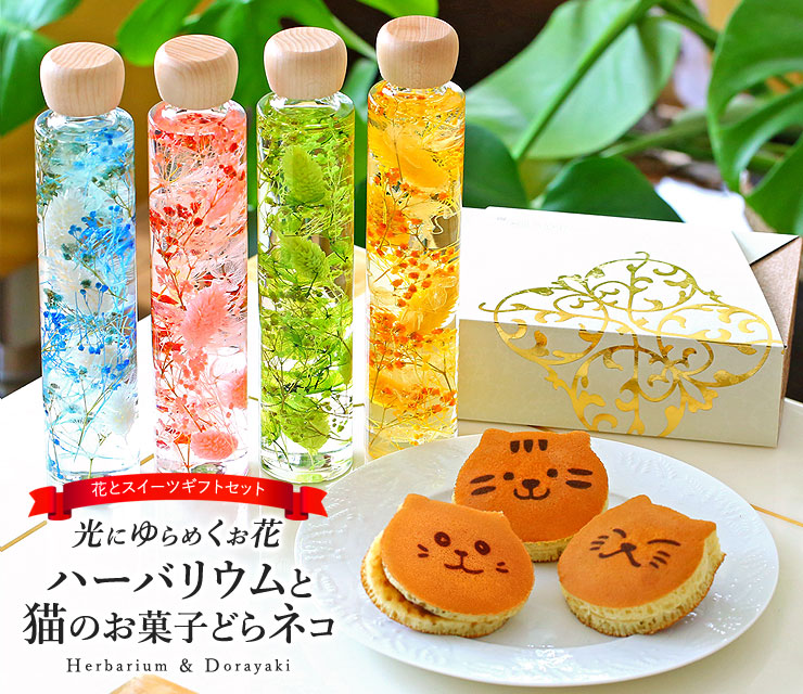 母の日 ハーバリウム ねこのお菓子 どらネコ セット 送料無料 ハーバリウム どら焼き かわいい 猫 お菓子 日本ロイヤルガストロ倶楽部