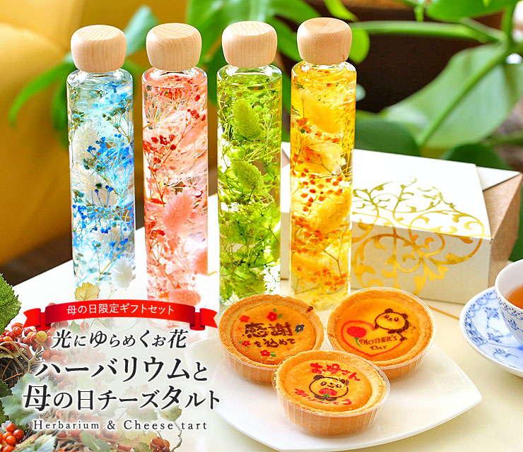 母の日 ハーバリウム チーズタルト セット 送料無料 季節限定 花 お菓子 お母さん ありがとう スイーツ 日本ロイヤルガストロ倶楽部