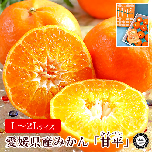 甘平(かんぺい) 愛媛県産みかん(蜜柑) L～2Lサイズ 約3kg 12～15玉