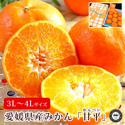 甘平(かんぺい) 愛媛県産みかん(蜜柑) 3L～4Lサイズ 約3kg 8～10玉