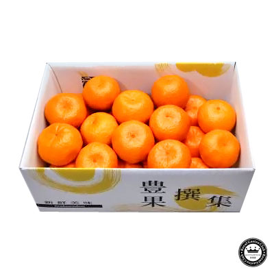 ポンカン 愛媛県産みかん(蜜柑) L～2L寸 約3kg