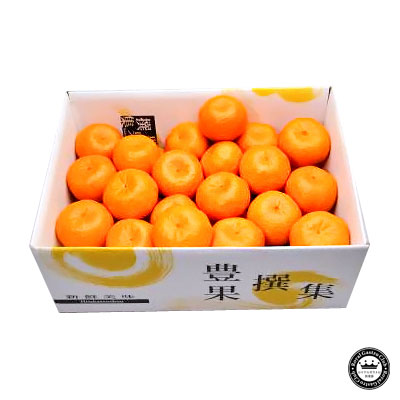 ポンカン 愛媛県産みかん(蜜柑) L～2L寸 約5kg