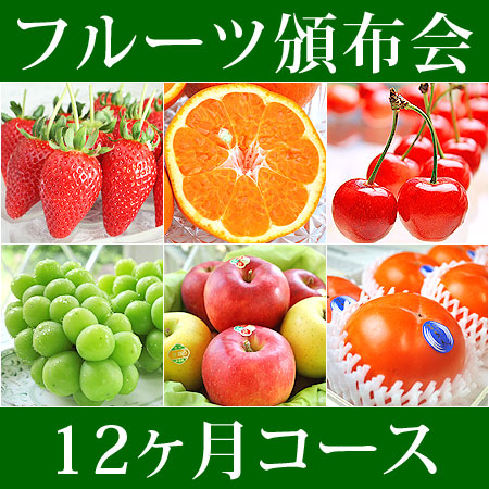 フルーツ頒布会(1年間コース)