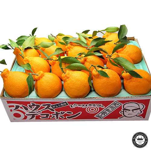 不知火（デコポン）