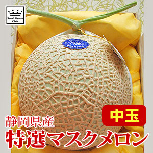 【静岡県産】マスクメロン（特選品/中玉×1玉/化粧箱入）