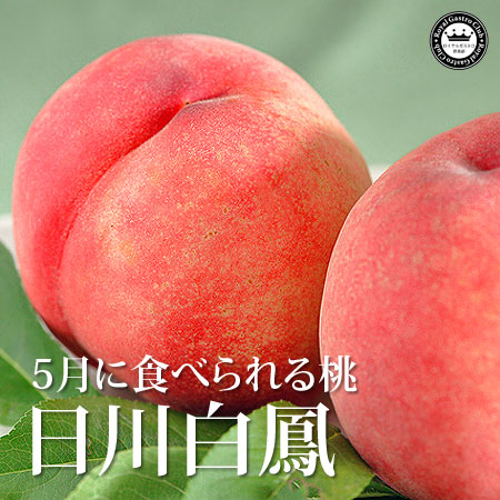 母の日の桃 母の日の桃