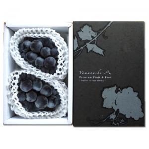 ハウスピオーネ ハウスピオーネ