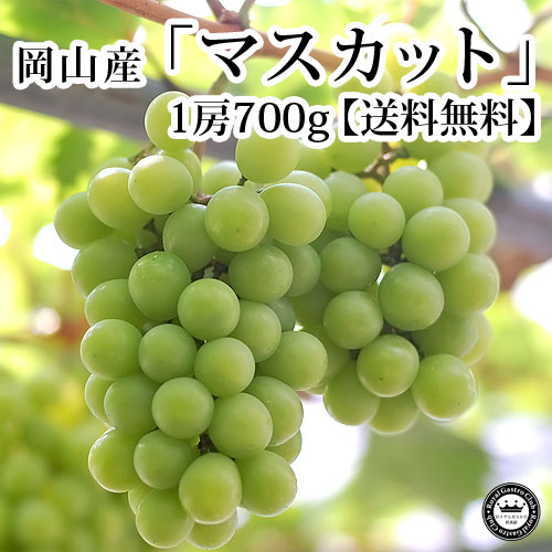 岡山産「マスカット」（約700g×1房入/化粧箱）