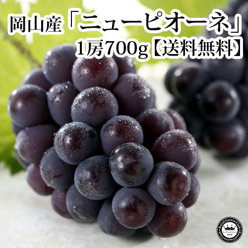 ニューピオーネ（約700g×1房）